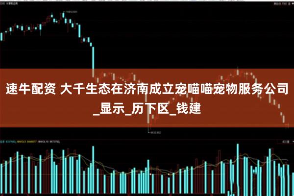 速牛配资 大千生态在济南成立宠喵喵宠物服务公司_显示_历下区_钱建