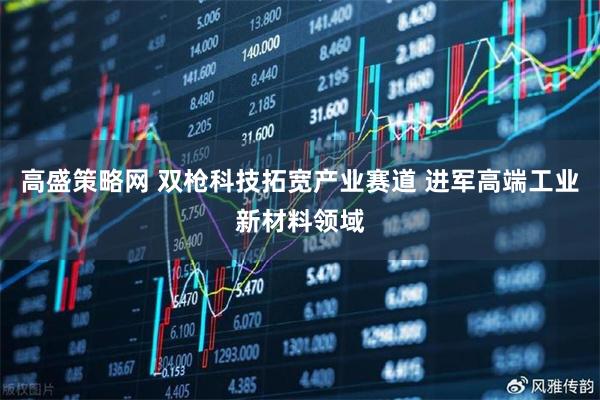 高盛策略网 双枪科技拓宽产业赛道 进军高端工业新材料领域